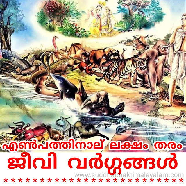 എൺപത്തിനാല് ലക്ഷം തരം ജീവി വർഗങ്ങൾ