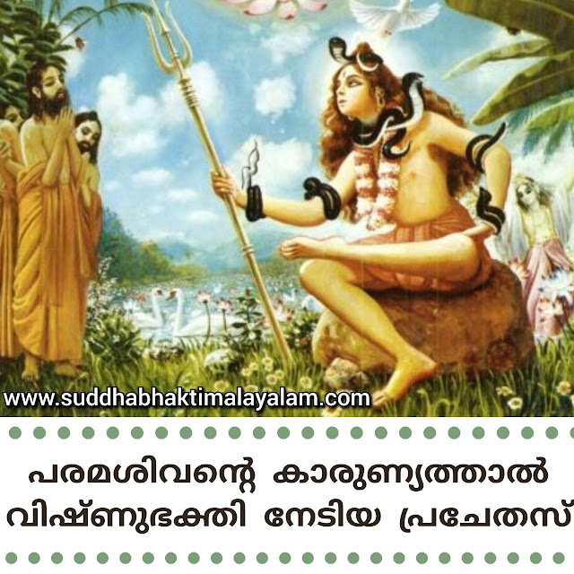 Shiva 1