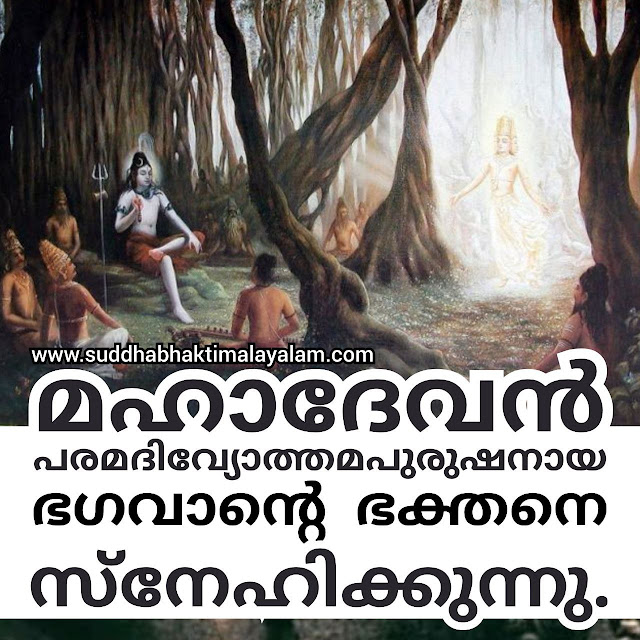 Shiva 2
