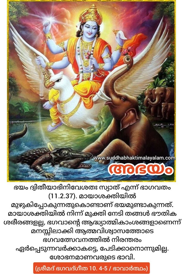 അഭയം 1