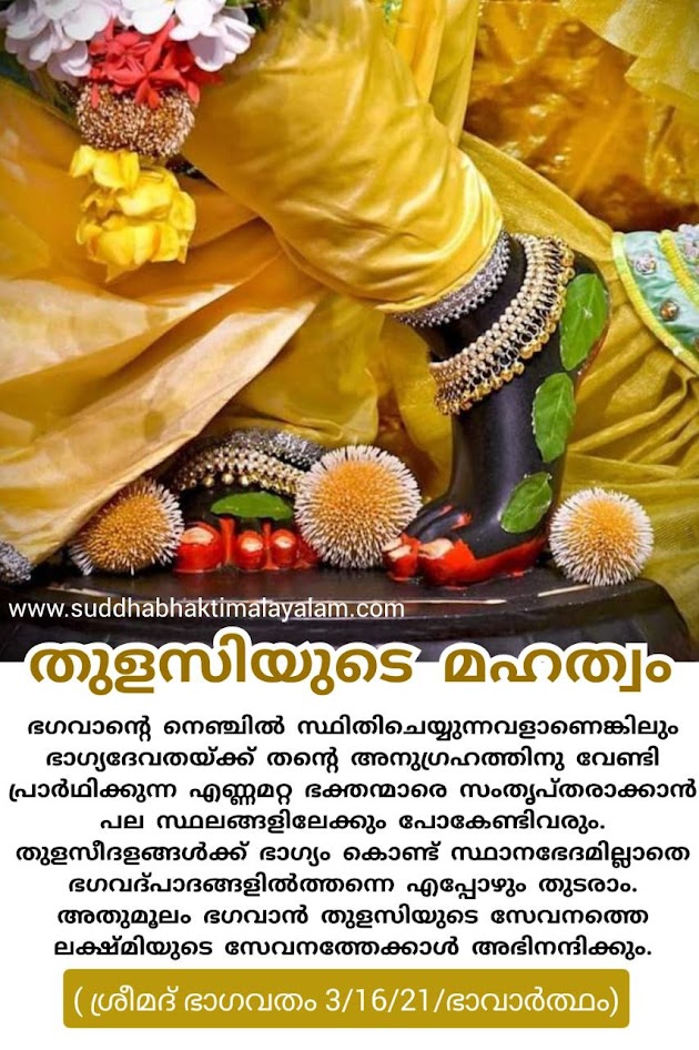 തുളസിയുടെ മഹത്വം 3