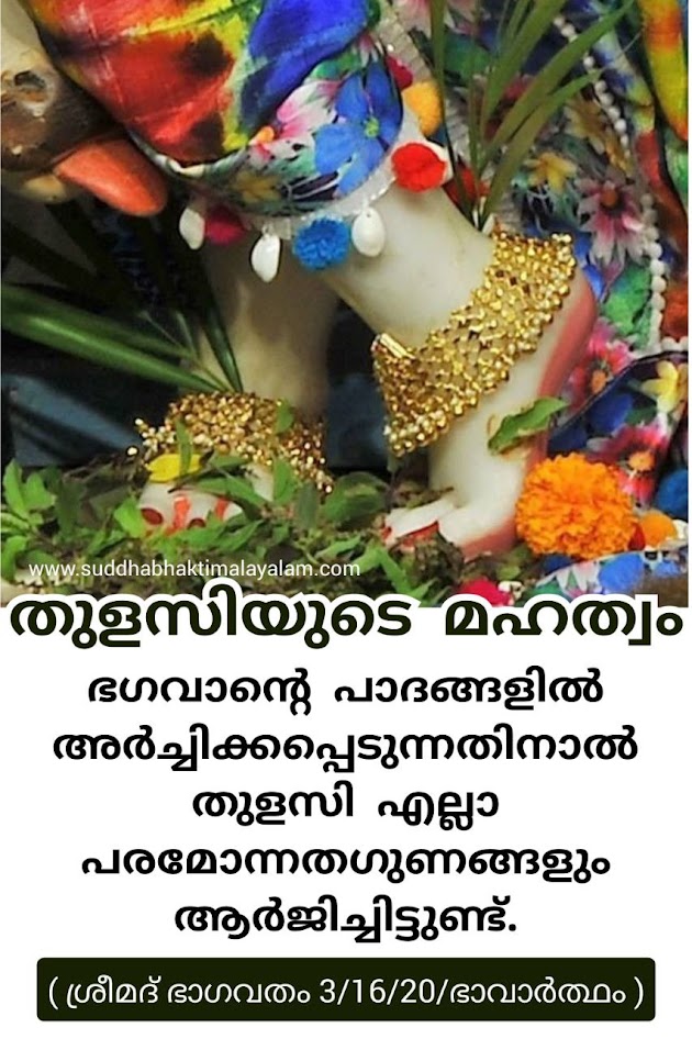 തുളസിയുടെ മഹത്വം