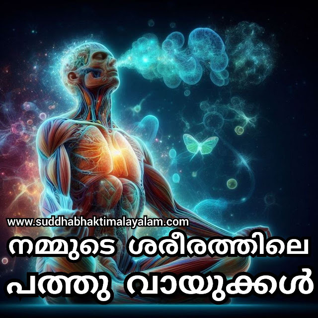 നമ്മുടെ ശരീരത്തിലെ പത്തു വായുക്കൾ