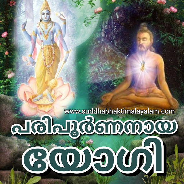 പരിപൂർണനായ യോഗി