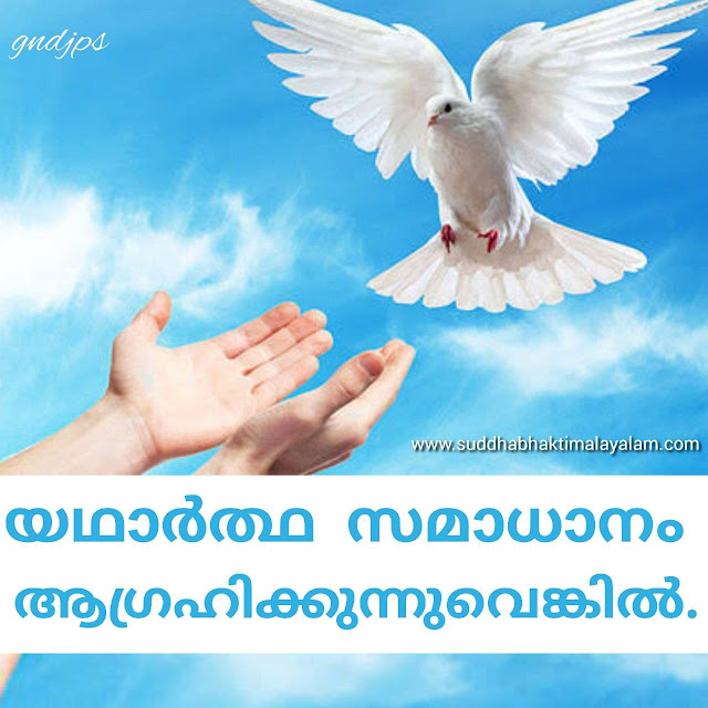 യഥാർത്ഥ സമാധാനം ആഗ്രഹിക്കുന്നുവെങ്കിൽ. . .