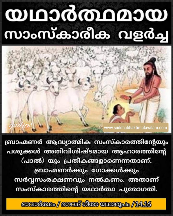 യഥാർത്ഥമായ സാംസ്കാരീക വളർച്ച