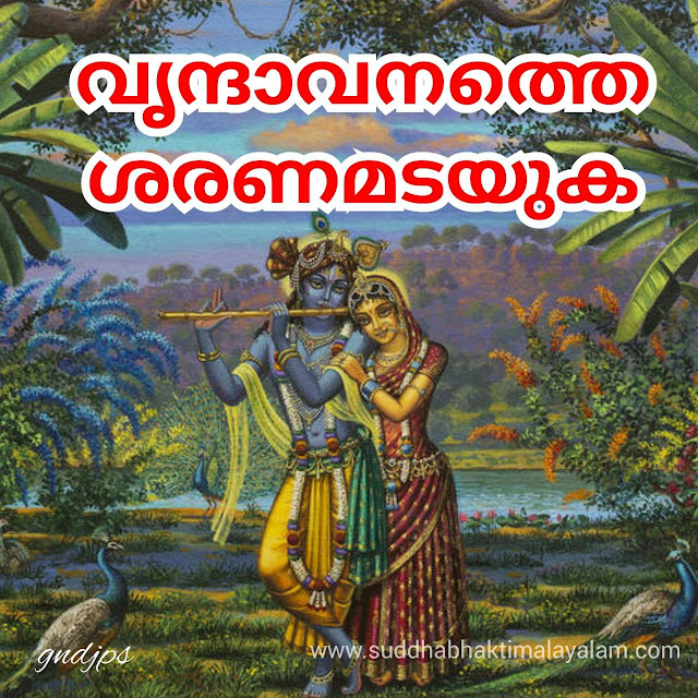 വൃന്ദാവനത്തെ ശരണമടയുക