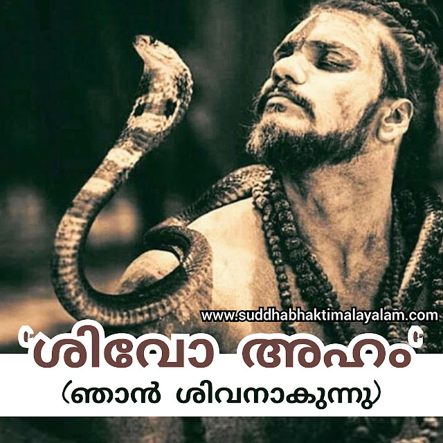 ശിവോ അഹം - ഞാൻ ശിവനാകുന്നു