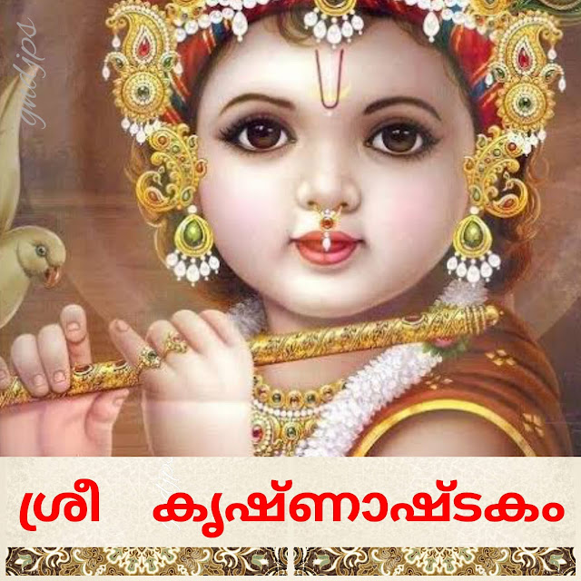 ശ്രീ കൃഷ്ണാഷ്ടകം